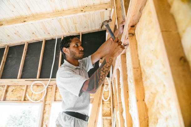 Best Insulation for New Construction  in Stanley, WI